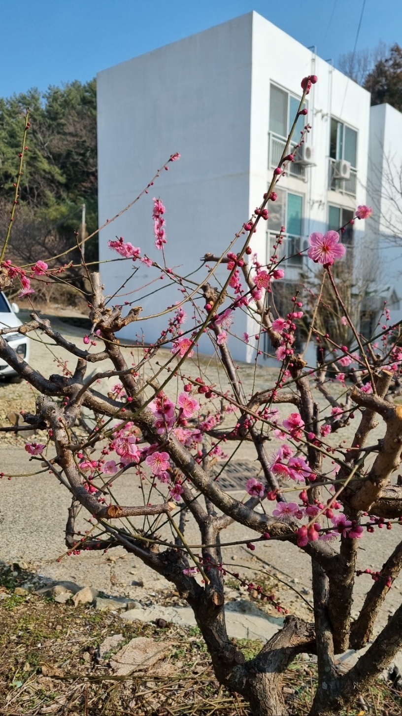 진우원룸 사진